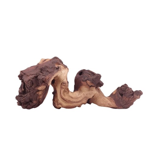 Aquarium radice deko - aquarium,
