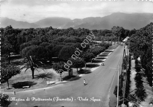 Cartolina marina - marina, di