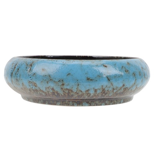 Ceramica succulente