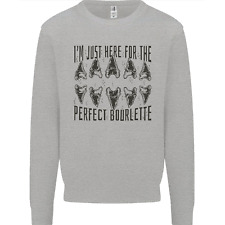 Fossili Di Denti Di Squalo