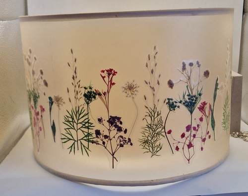 Vintage real pressed flower - real,