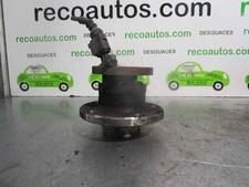 fusello posteriore sinistro