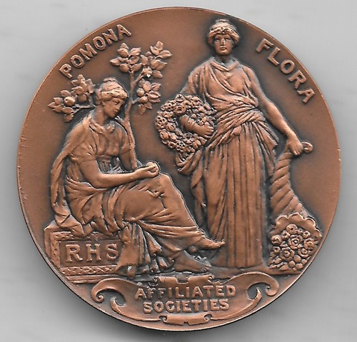 Medaglia presentazione - medaglia, di