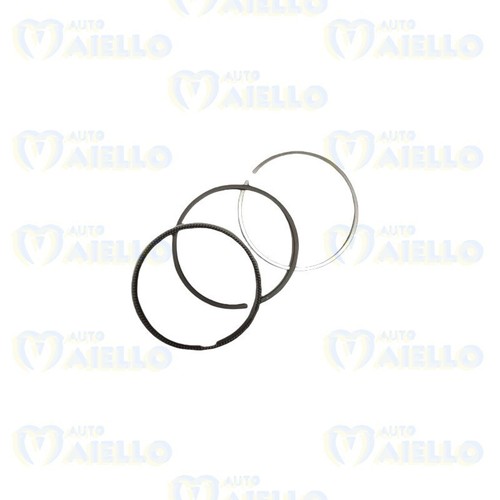 Serie fasce segmenti standard - fasce,