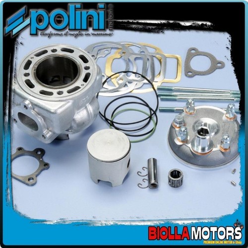 140 0207 gruppo termico polini - gruppo,