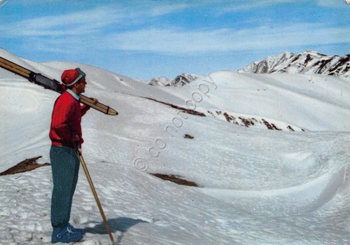 Cartolina monesi campi - monesi,