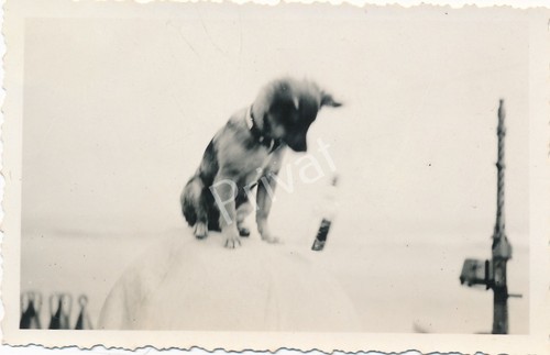 Foto militare ww2 kriegsmarine - ww2,