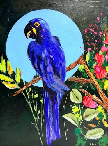 Ara blu dipinto olio - , originale
