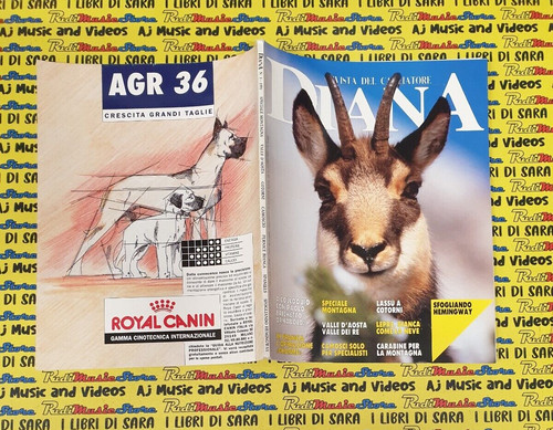 Rivista magazine del - magazine,