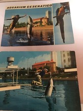 Cartoline Cesenatico - Aquarium con delfino anni 70