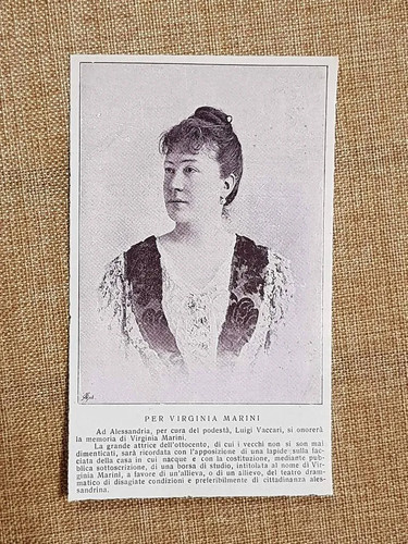 Virginia marini - virginia,