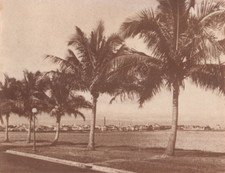 Vista Della Città Di Panama -