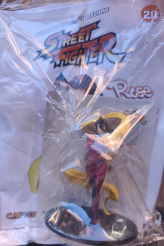 Rose street fighter action - fighter,