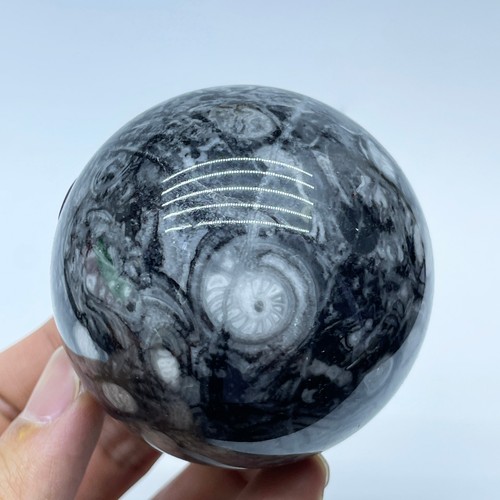 Sfera quarzo conchiglia - quarzo,