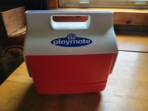 Mini refrigeratore vintage