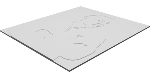Sagoma elon musk decorazione - elon,