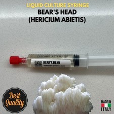 Fungo Testa di Orso Coltura