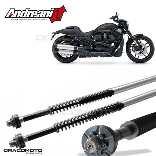 Harley davidson rod night - harley-davidson, v-rod
