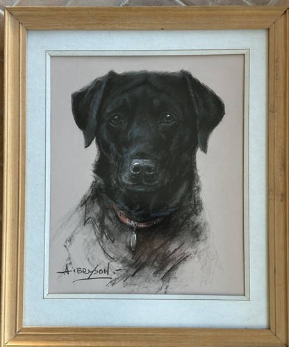 Cane labrador nero andrew - cane,