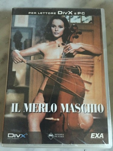 Divx dvd merlo - divx, maschio"