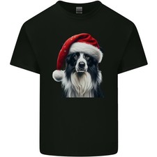 Natale Border Collie che