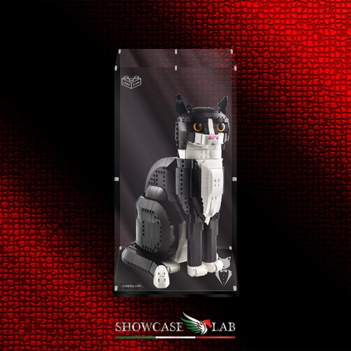Teca plexiglass - in,