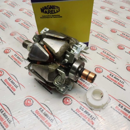 Rotore alternatore magneti - rotore,