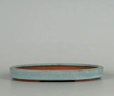 Vaso bonsai giapponese