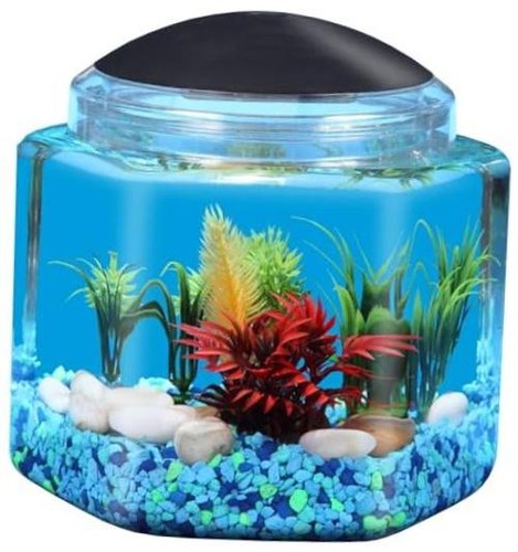 Bettatank esagonale 1 - bettatank, da
