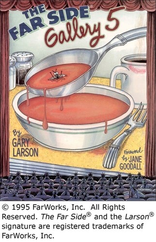 The far side gallery gary - side, #5