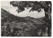 Carnia valpicetto di - carnia,