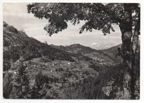 Carnia valpicetto di - valpicetto,