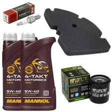 Manutenzione Filtro Aria Olio