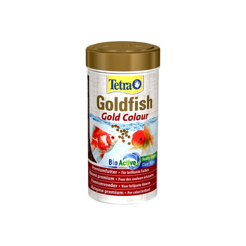 Tetra goldfish gold colour - gold,
