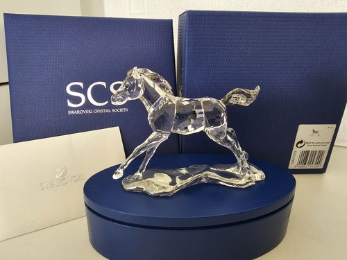 Swarovski scs 2014 - scs, 'foal'