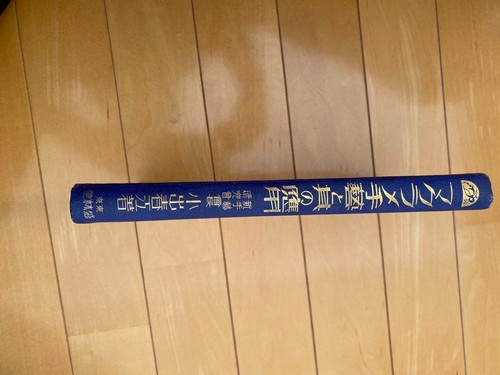Japanese book macrame - japanese, "macrame