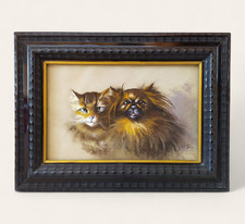 Ritratto gatto cane - e,