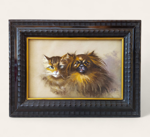 Ritratto gatto cane - ritratto,