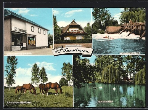 Langlingen negozio - ak, langlingen,