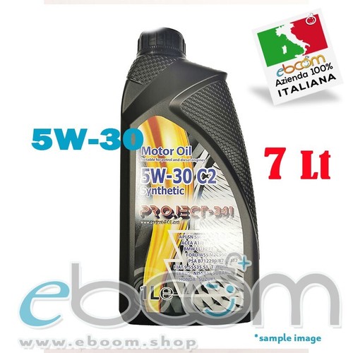 Project 341 5w30 - 5w30, motore