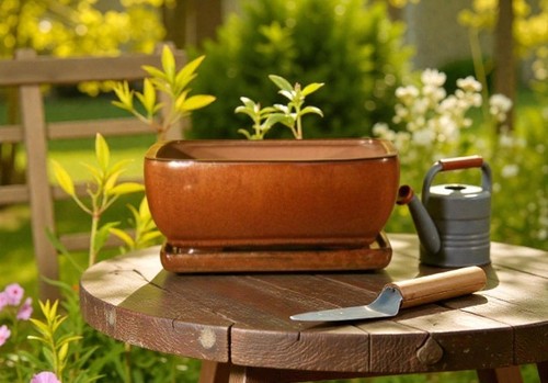 Vaso per bonsai ceramica - per,