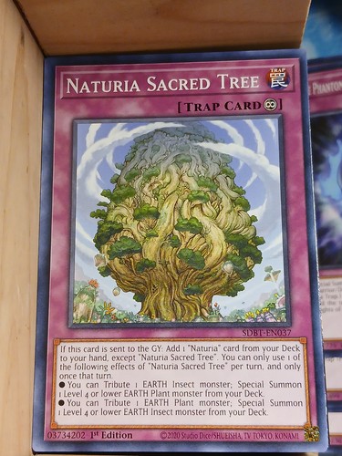 Struttura deck naturia - deck,