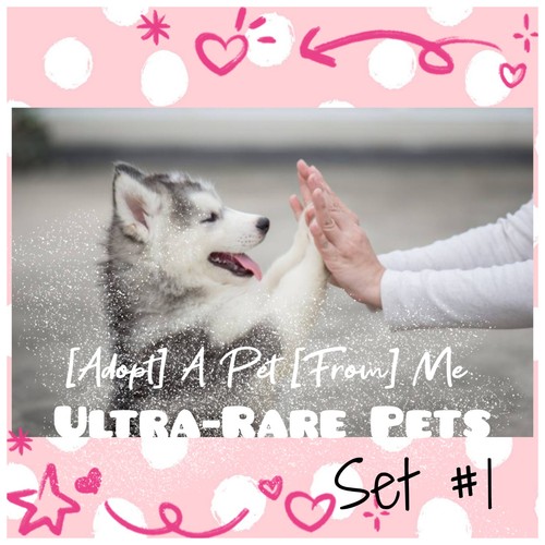 Adopt today - 🌸, (all