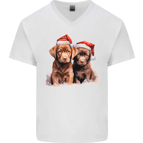 Cioccolato labrador natale - cioccolato,