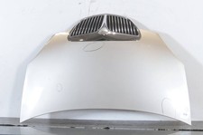 Cofano anteriore 51732277 - cofano,