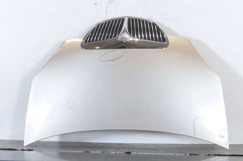 Cofano anteriore 51732277 - cofano,