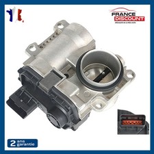 Corpo Farfallato D'Ingresso