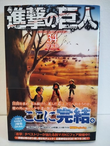 Attack titan beginning - 34,