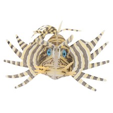  Pesci Finti Per Acquario