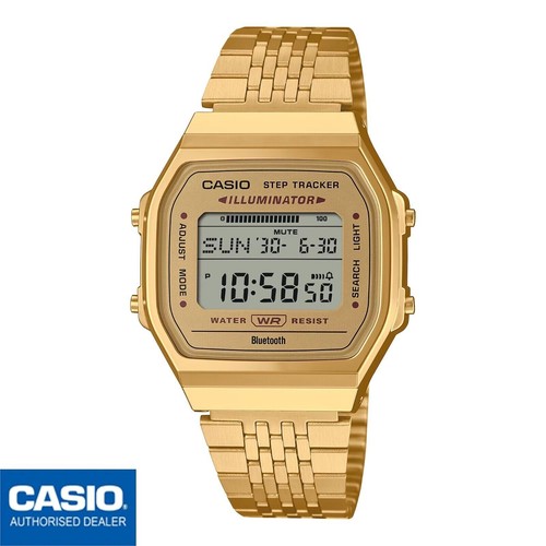 CASIO